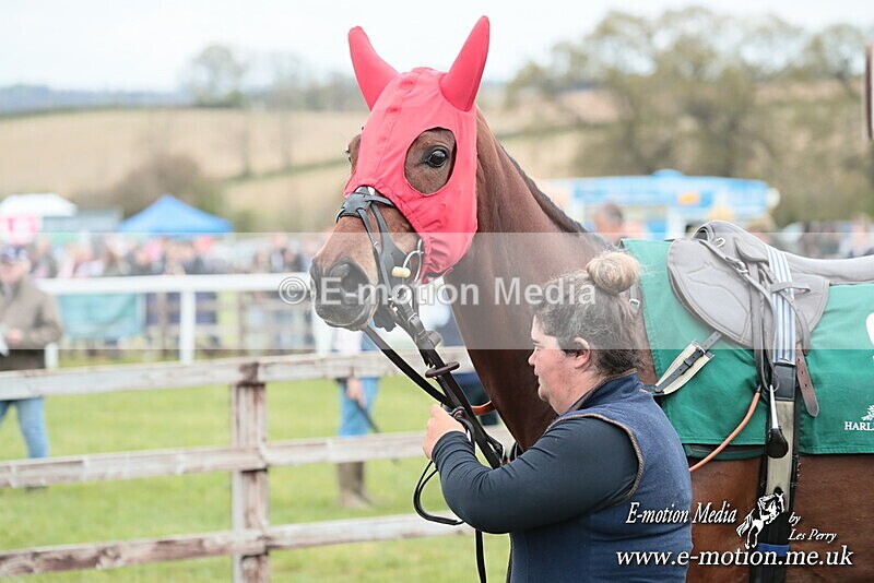 PtP 130425 206 - Edgecote Races 13/04/25