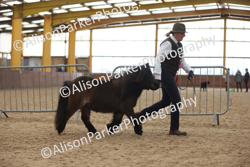 20251109-0437 - Championship