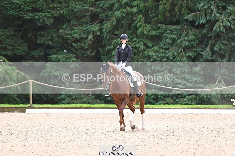 240809-121548-00707 - 185-Daisy.Hedges-Felicia.v