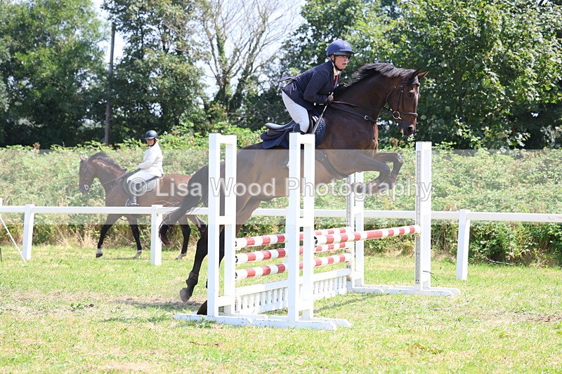 3E7A2950 - Class 7: Senior British Novice/90cm open
