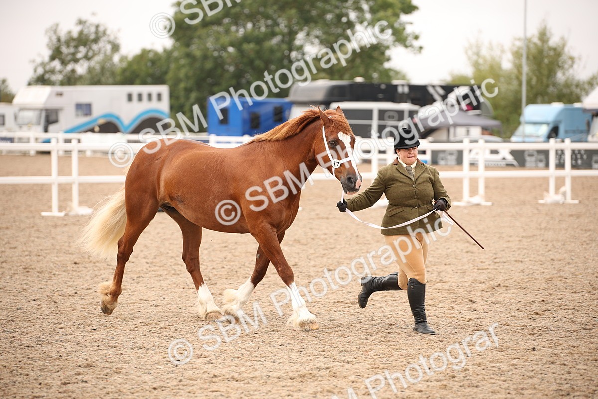 SBM_21501 - Class 706 - IH  Veteran