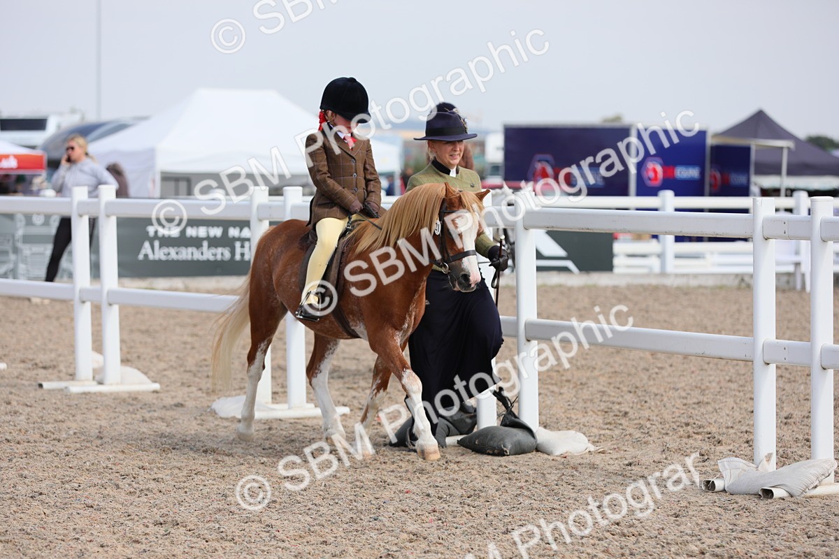 SBM_14077 - Class 309 Lead Rein Pony