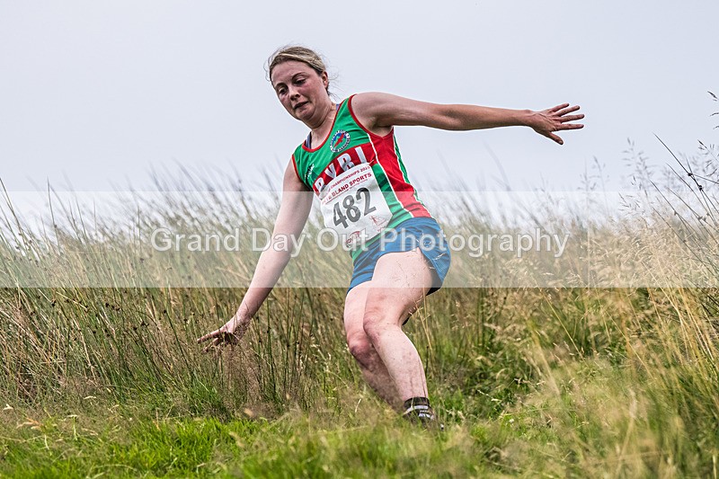 Steel Fell-599 - Steel Fell Race Wednesday 6th August 2025