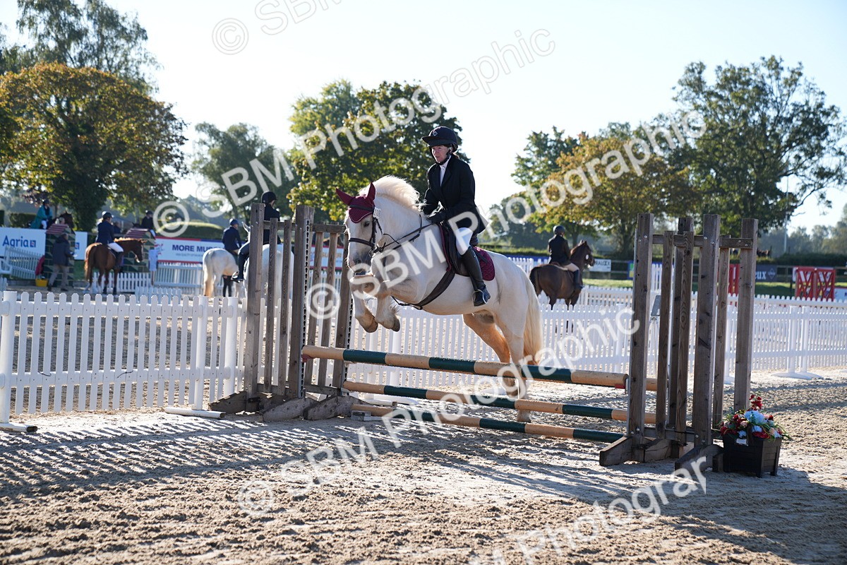 SBM_14064 - J59 - Clear Round - 65cm