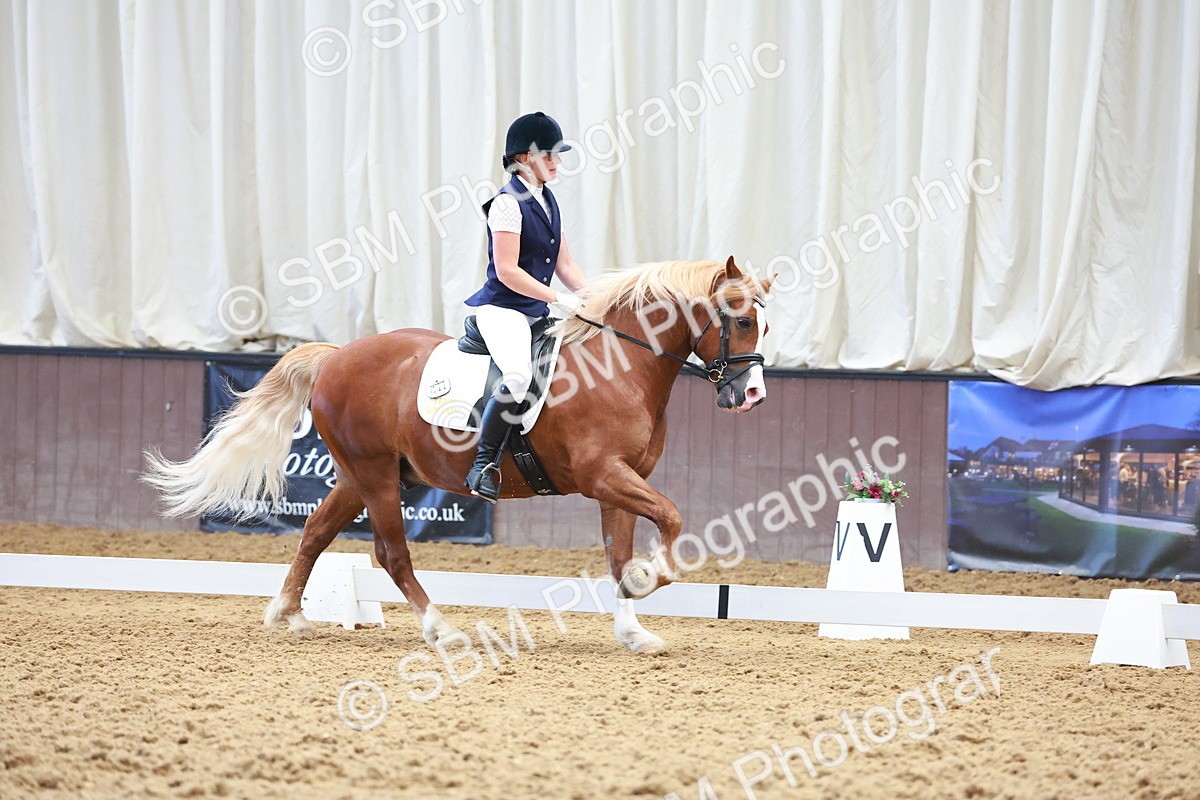 SBM_009006 - Prelim 5 - 8.30-9.47