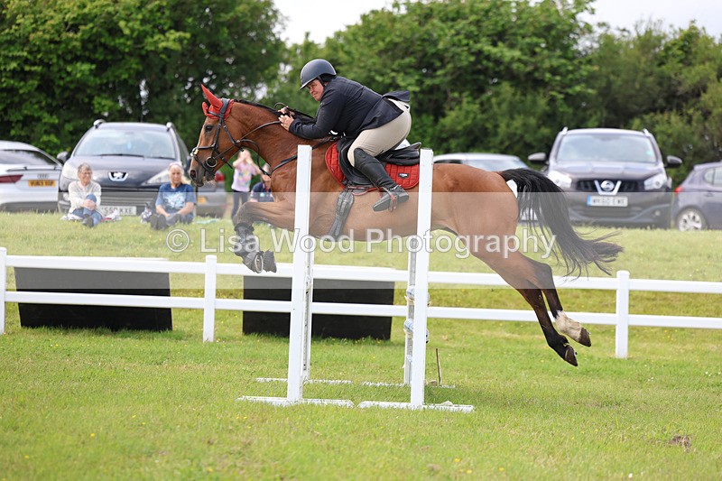 3E7A7491 - Class 13: Senior British Novice/90cm open