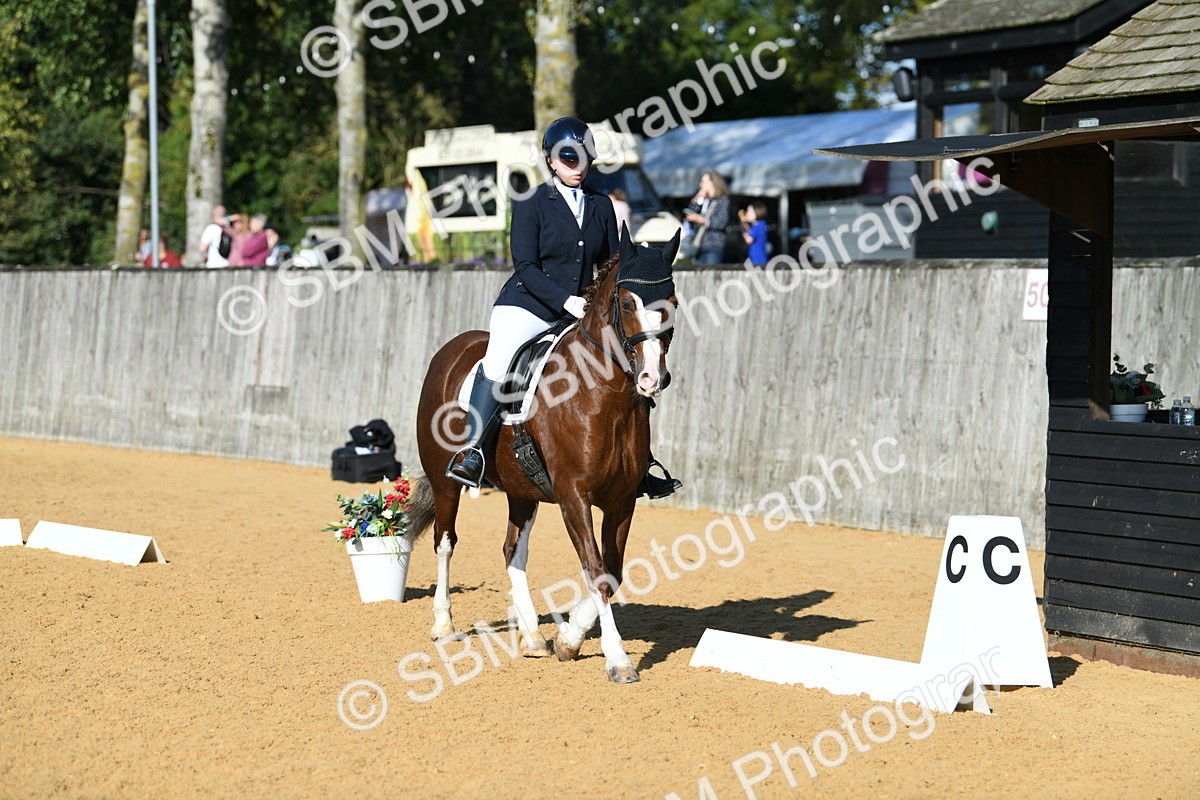 SBM_27226 - D16 - Small Tour Championship - Novice 28
