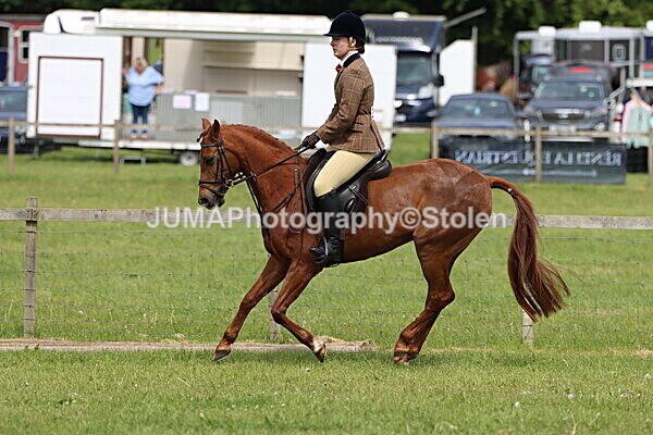 IMG_2957 - Working Hunter