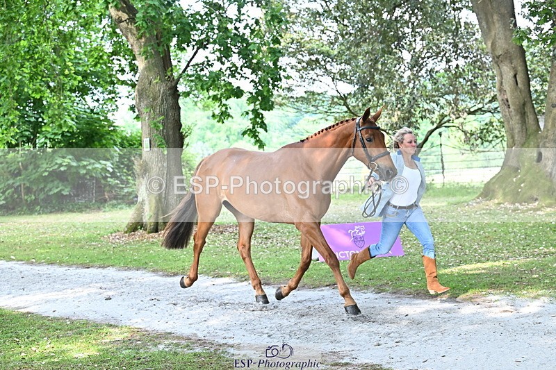 250521A-165914-01451 - C-276-Sammi.Birch-ROSAS.PARTY