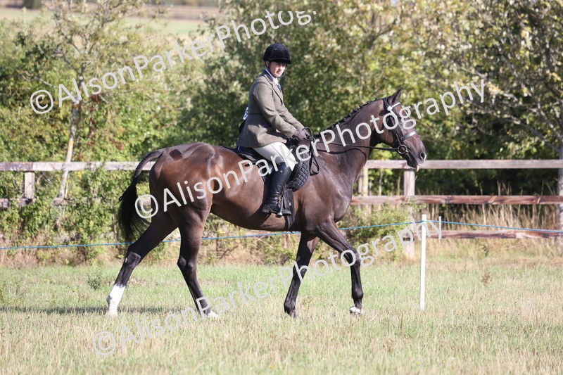 20260906-0346 - Class 14 - Ex Racehorse