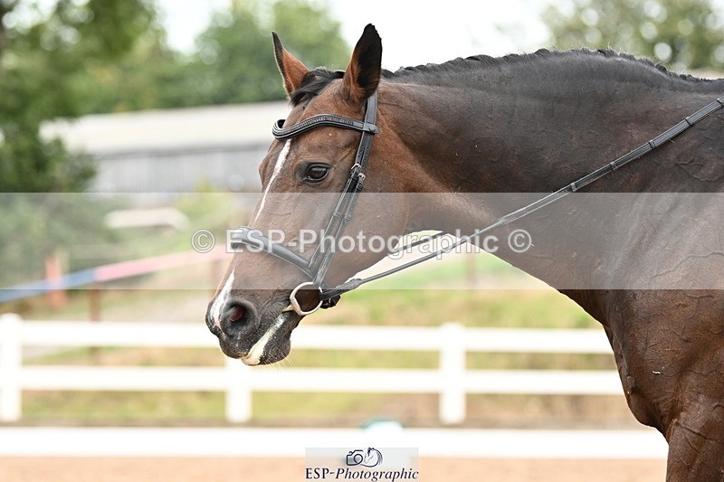 240815A-141314-01978 - 295-Zara.Bassett-Croon.Gravin