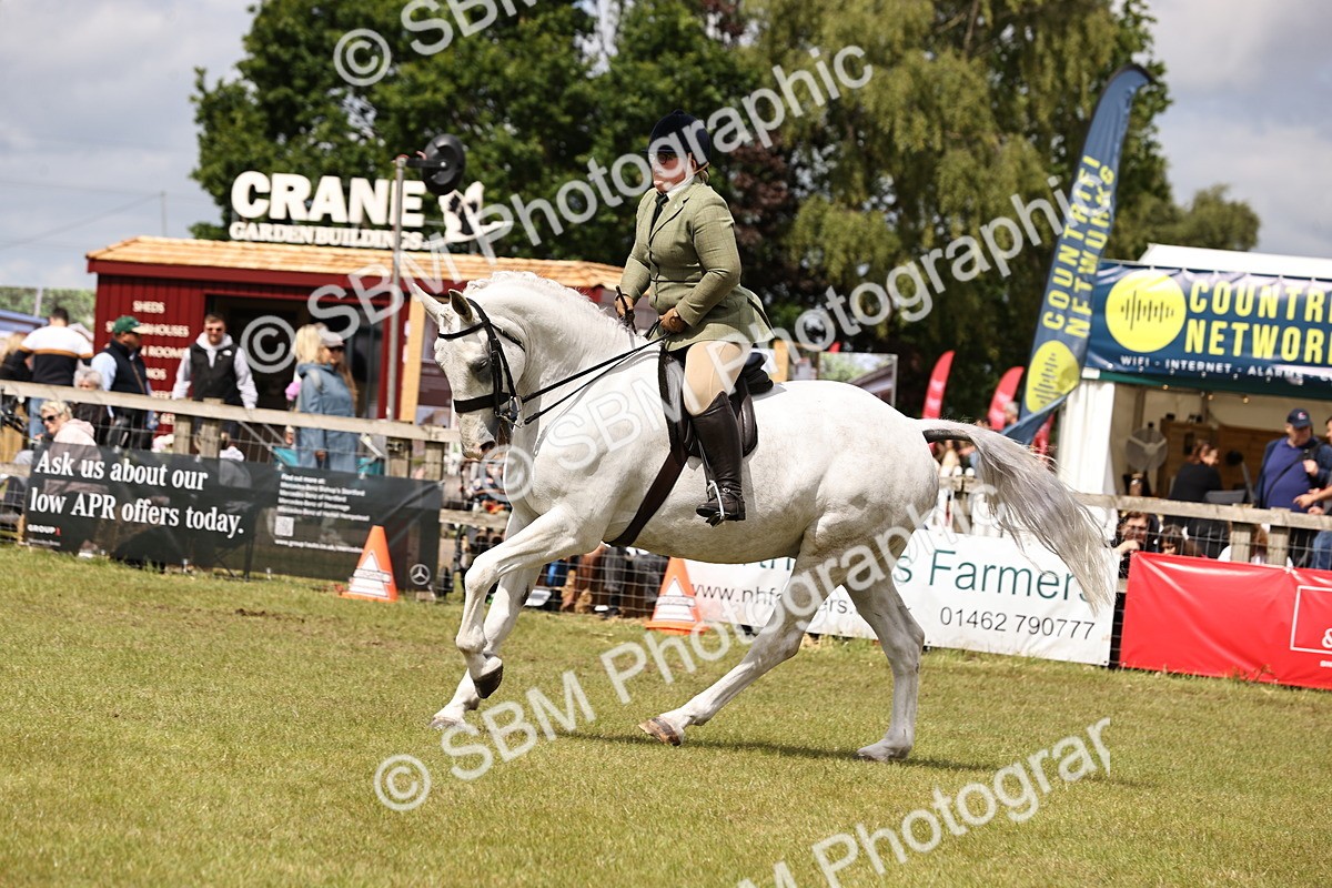 SBM_14682 - Class 88-89 - LIHS BSHA Rising Star of Ridden Hunter Type