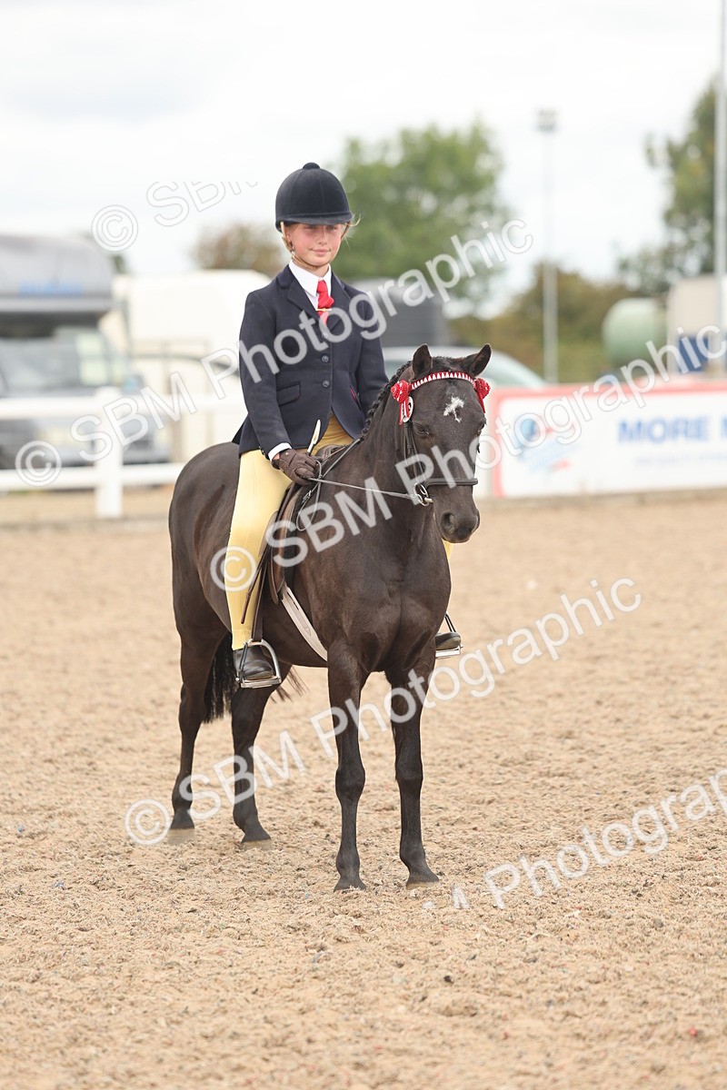 SBM_16037 - Class 311 - Ridden Show pony-Show hunter Pony