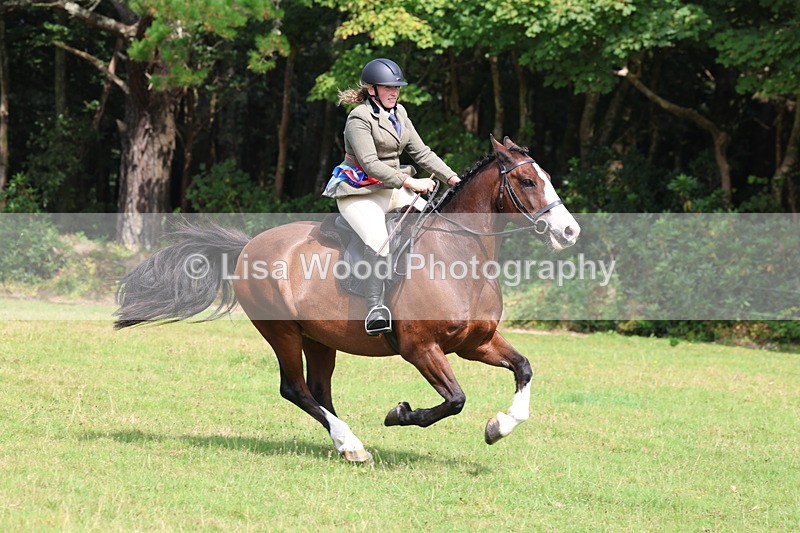 3E7A6115 - Working Hunter Championship