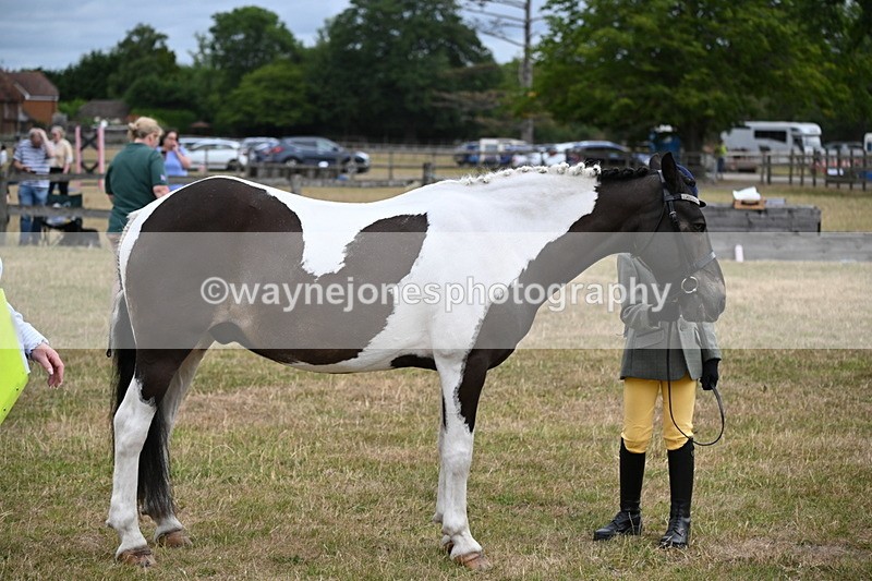WJ6_4318 - Class 10 Coloured In-hand
