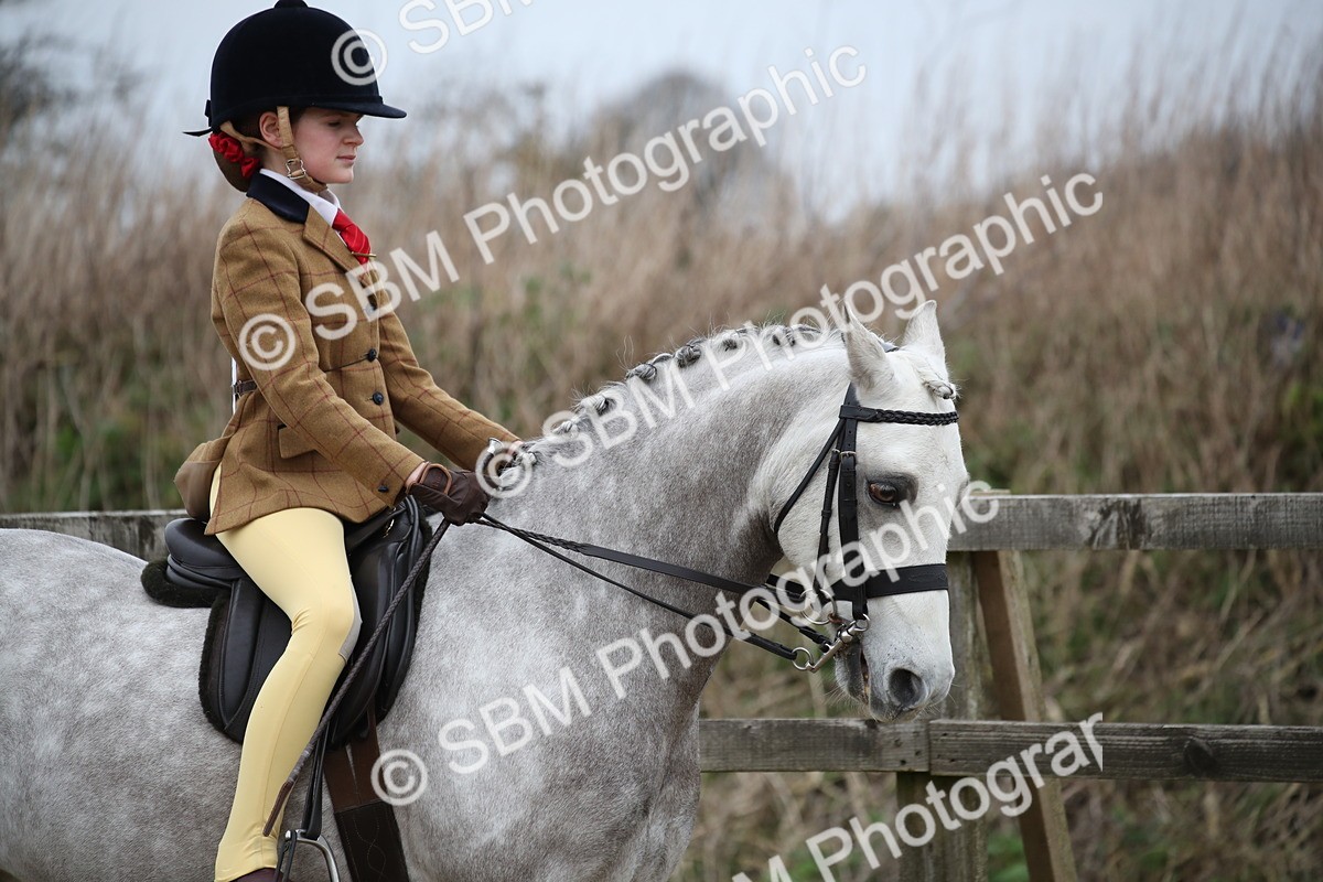 SBM_004635 - Class 5-9 - NPS In Hand-Show Hunter-Intermediate Ridden Inc Ridden Championship