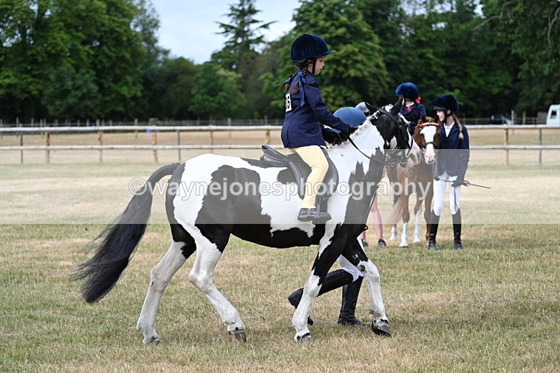 WJ7_9783 - Class 1 Lead Rein Pony