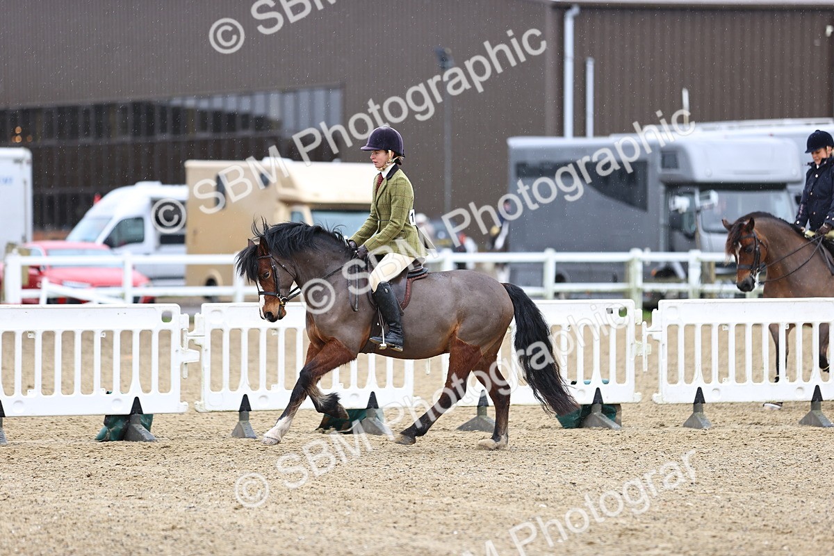 SBM_007537 - Class 31-32 - M&M Confined Novice Small-Large