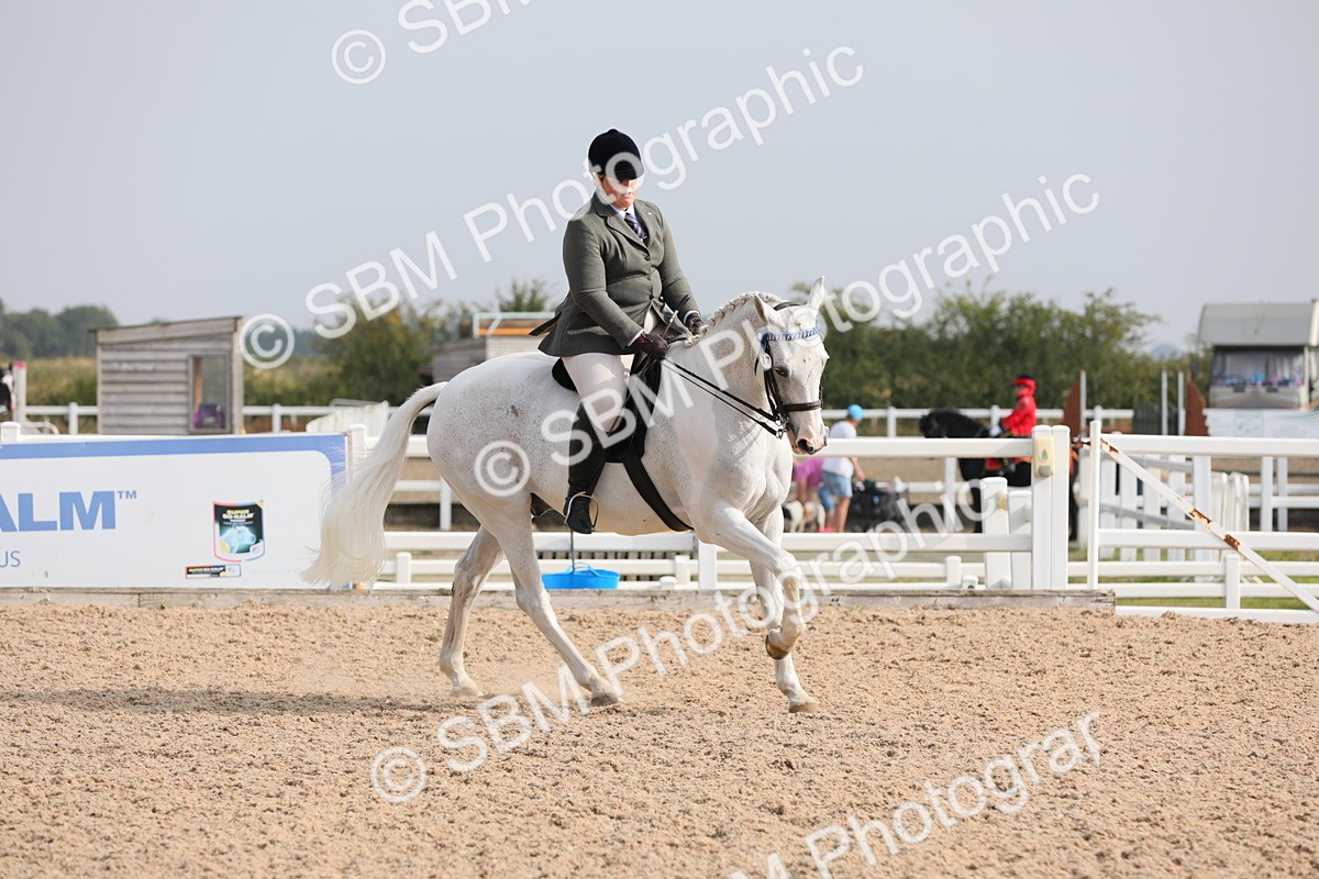 SBM_10892 - Class 304 Ridden Part Bred Horse/Pony