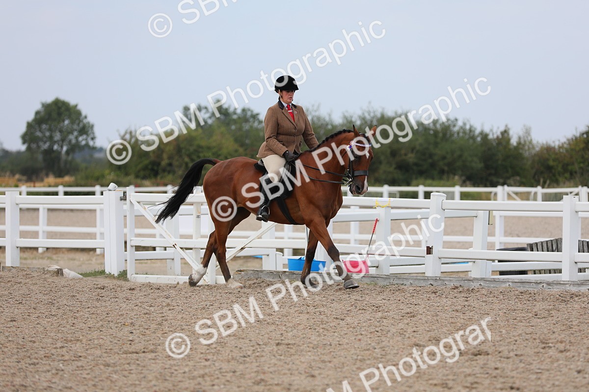 SBM_16867 - Class 314 Family Horse/Pony