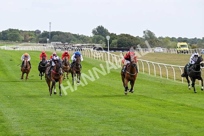 260826-Race 1-Mugheer-2119 - Race 1 14:15 Yorkshire Dales Distillery / EBF Restricted Maiden Stakes