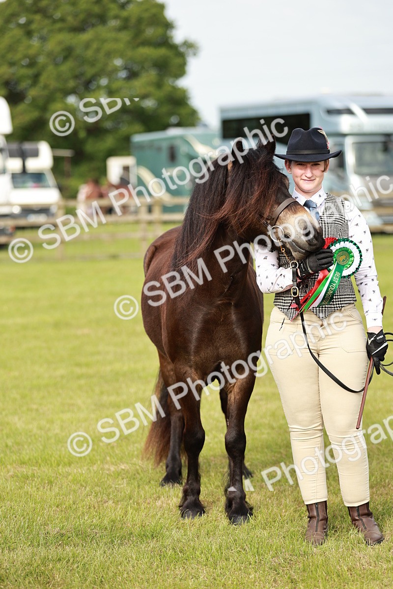 SBM_00407 - Class 14-23 - Mountain & Moorland In Hand Non Welsh