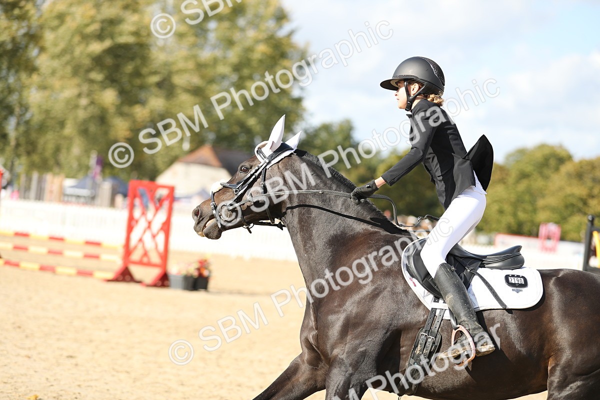 SBM_49559 - J22 - Junior Horse 65cm Championship