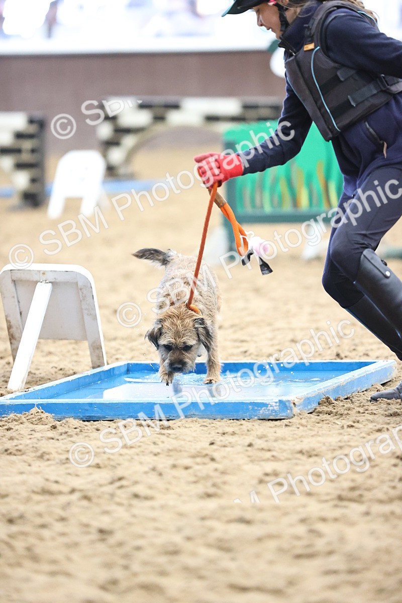 SBM_001257 - Class 3 - Horse & Hound 60cm