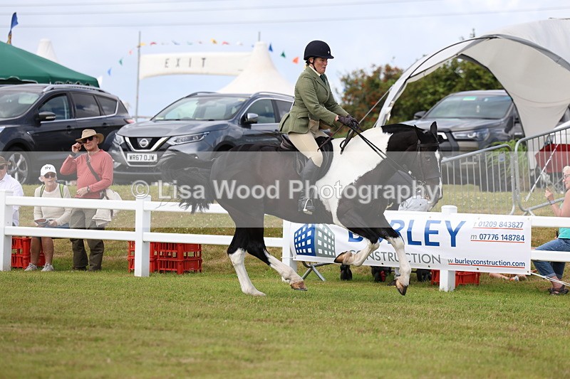 3E7A0336 - Class 6: Rising Star Maxi Cobs