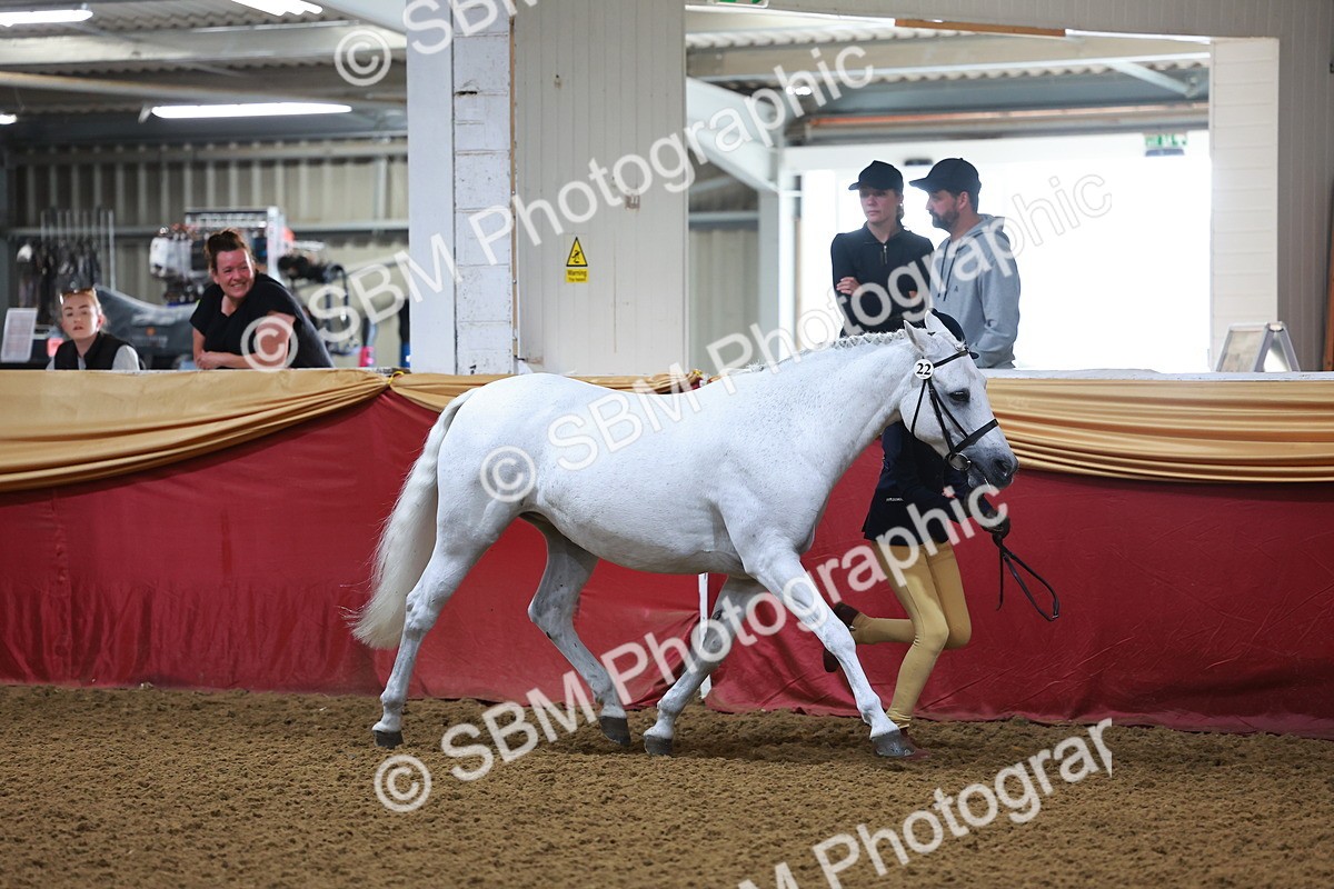 SBM_14696 - Class B - Junior Champ 11 to 16 Years