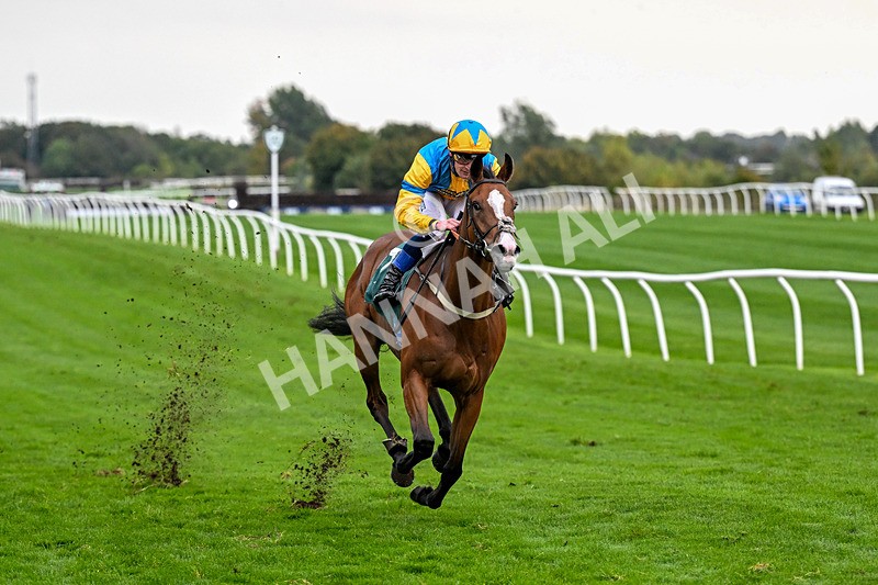 011025-Race 7-Lightning Tiger-0804 - Race 7