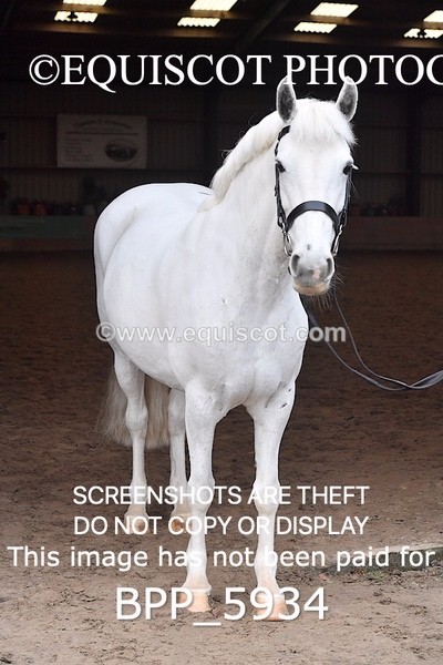 BPP_5934 - Erin Hancock ×2