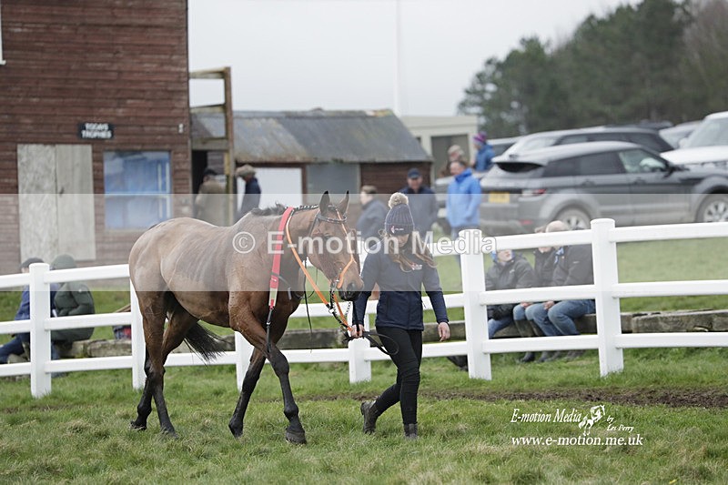 PtP 260323 0656 - New Forest Hounds Point-to-Point Larkhill 26/03/23