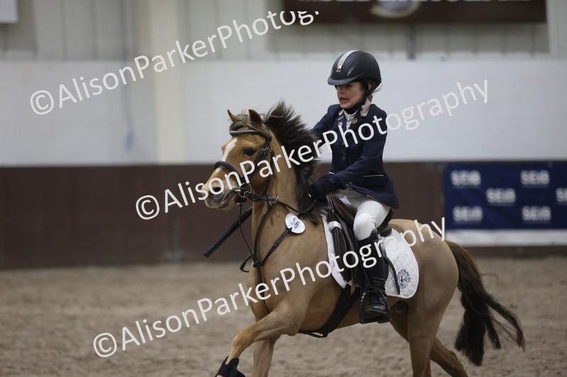 20260125-2720 - Class 3 - 60cm