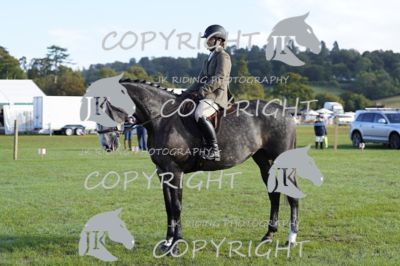 _DSC9389 - Class 8 & 17 Ridden Hunter & Ridden Hunter Pony