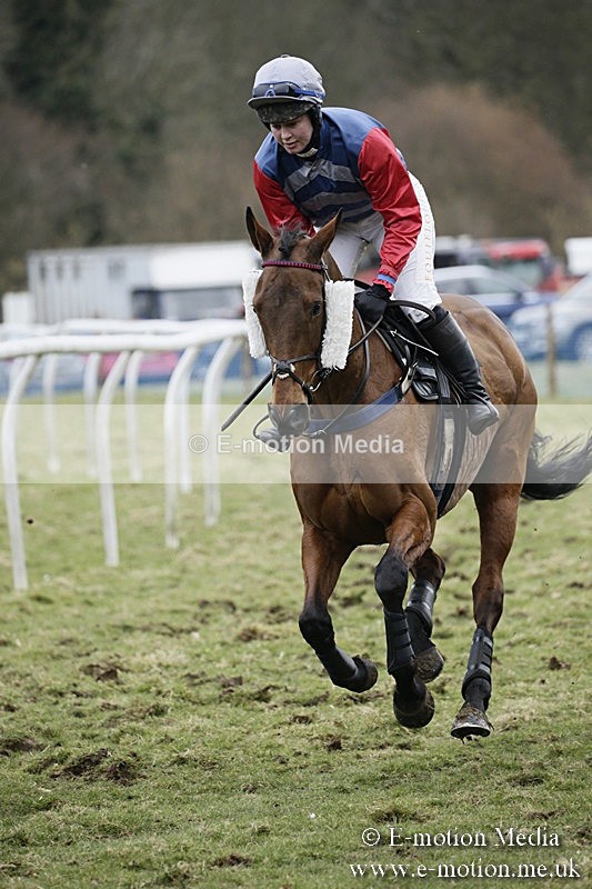 PtP 110318 335 - Hampshire Hunt Point-to-Point Hackwood Park 11/03/18