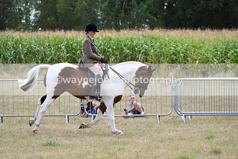 WJ7_5634 - Class 12 Ridden Cob