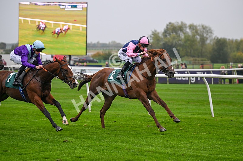 181025-Race 2-Sierra Sands-0319 - Race 2