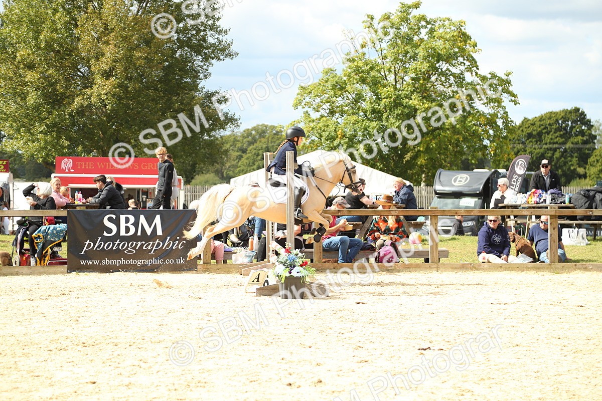 SBM_41434 - J6 - Junior Pony 55cm Championships
