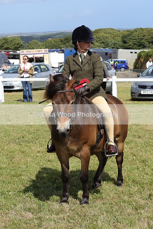 1X9A5638 - Class 39: NPS Dartmoor, Exmoor, Shetland