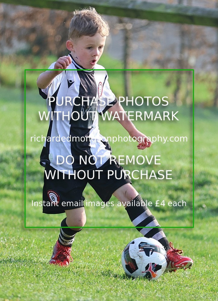 533A9109 - Craven Wanderers Under 7's (21/3/26)