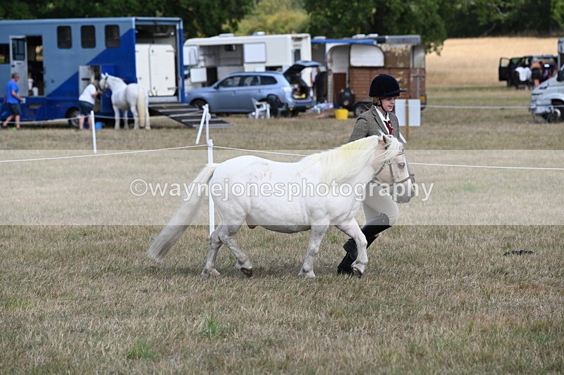 WJ6_6906 - Class 21 Shetland & Mini Horses