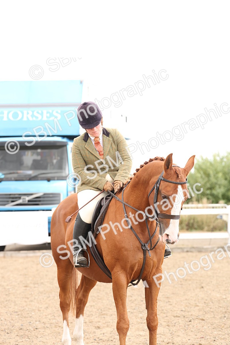SBM_07509