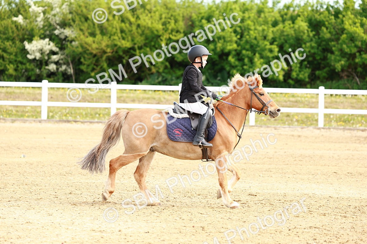 SBM_006616 - Class 1 - 40cm