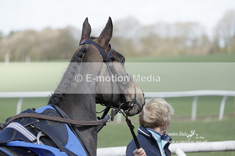 PtP 100423 671 - Old Berkshire Point-to-Point Lockinge 10/04/23