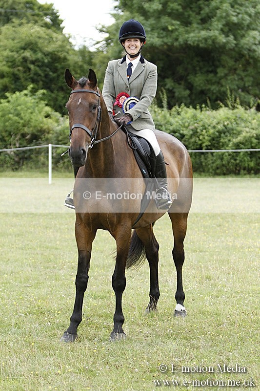 BVR160717-2324 - Working Hunter Championship 16/07/17