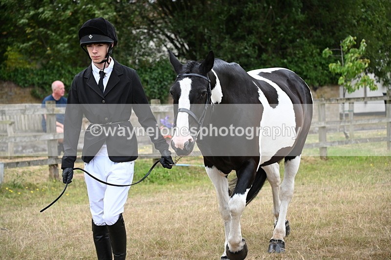 WJ6_8015 - Class 10 Coloured in Hand