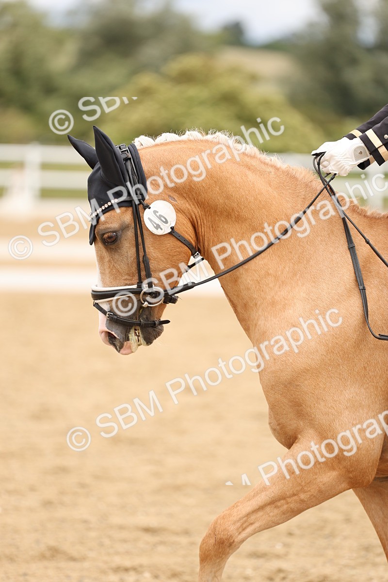 SBM_002692 - Class 6a - Novice 5 - 11.53-14.27