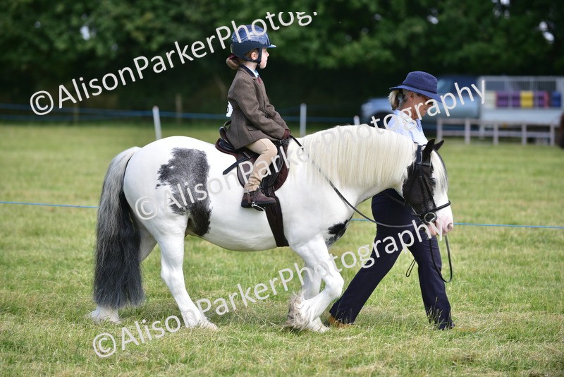 20260614-1126 - Class 11a - Lead Rein Pony (Unplaited)
