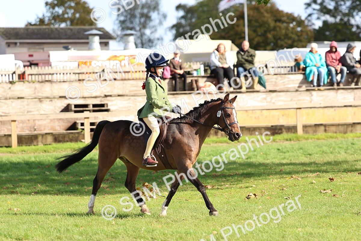 SBM_47760 - S28 - Veteran Ridden